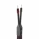 AudioQuest FireBird BASS Speaker Cables AudioQuest Sight and Sound Galleria 2